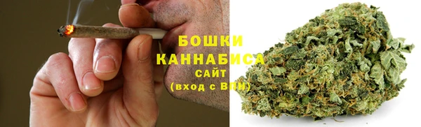 соль ск Арсеньев