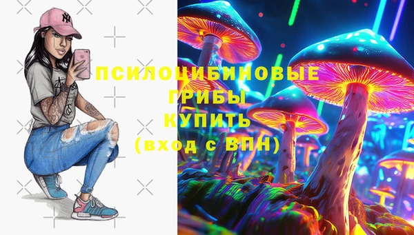 соль ск Арсеньев