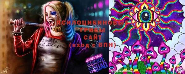 соль ск Арсеньев