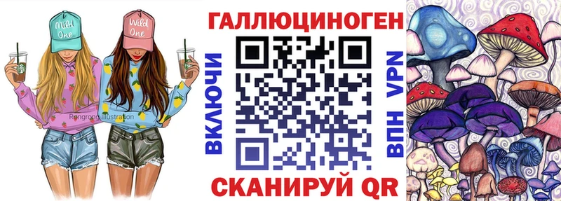 Галлюциногенные грибы Psilocybine cubensis Спасск-Рязанский